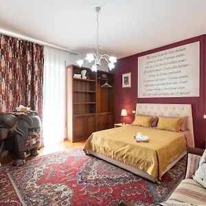 B&B Dante